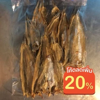 ส่งฟรี ปลาช่อนทะเล (ใหญ่ / ผ่าเล็ก) สดใหม่ ทอดได้ ย่างได้ อร่อย (คุ้มและอร่อย) 500กรัม
