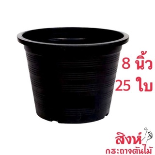 กระถางต้นไม้พลาสติกสีดำ 8 นิ้ว ชุด 25 ใบ (วัดจริง 7.5 นิ้ว)[ใบล่ะ 6.80 บาท] กระถางราคาถูก