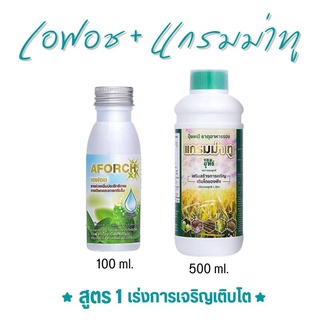 เอฟอช สารจับใบ 100CC + ปุ๋ยน้ำ แกรมม่าทู 500CC【ชุดเล็ก】ปุ๋ยน้ำสูตรบำรุงต้น ปุ๋ยน้ำเร่งการเจริญเติบโต