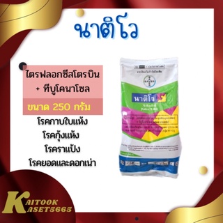 นาติโว 75 WG 250 กรัม ทีบูโคนาโซล + ไตรฟลอกซีสโตรบิน สารป้องกันและกำจัดเชื้อรา ใช้ได้ทั้งนา ไม้ผล ผัก ข้าวโพด