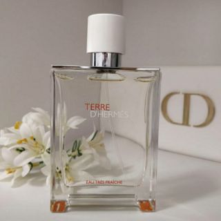 Hermes Terre D Hermes for Men EDT 75 ml