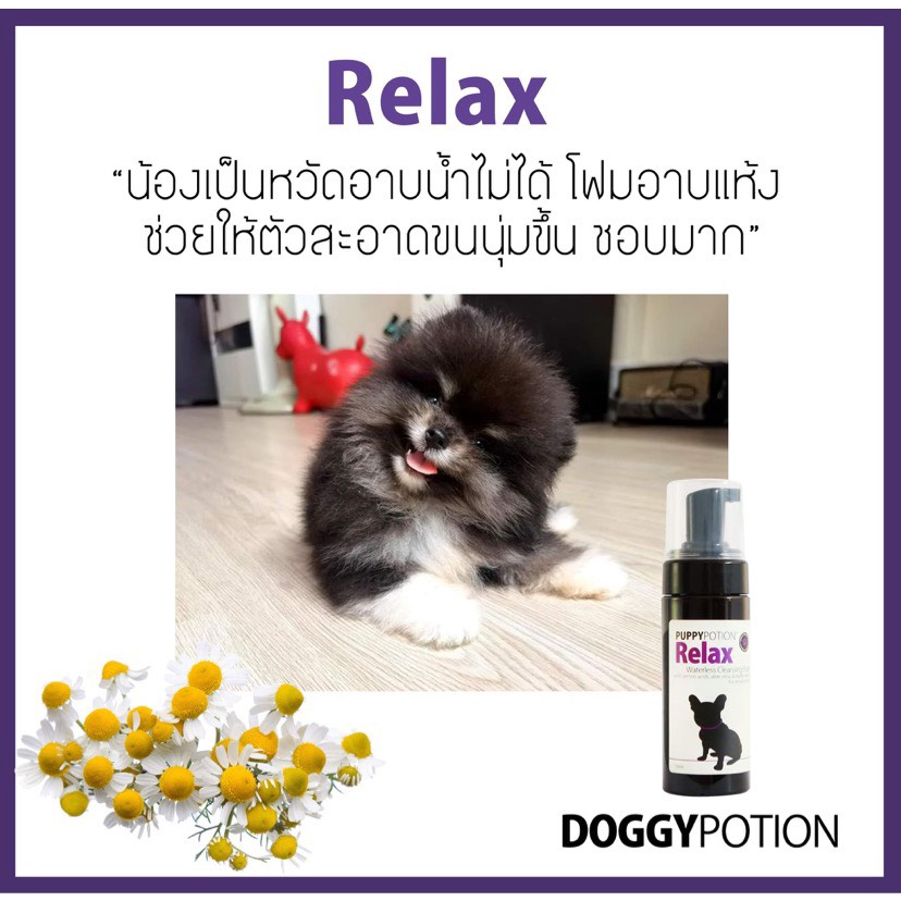 Puppy Potion Relax Waterless Cleansing Foam 150 ml ราคา ถูกที่สุด ดีลบีเคเค แกลเลอรีภาพที่ 4