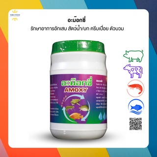 อะม็อคซี่ รักษาอาการอักเสบ สัตว์น้ำ/บก