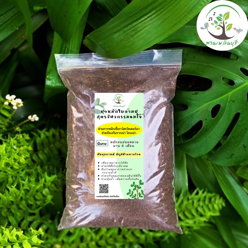 ปุ๋ยหมักใบก้ามปู สูตรวิศวกรรมแม่โจ้ เพิ่มการหมักไตรโคเดอร์มา บำรุงและป้องกันโรค รากเน่า โคนเน่า
