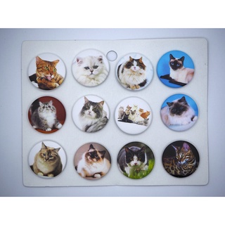 เข็มกลัด 3.2cm/4.4cm Animals สัตว์  cat แมว  Badge