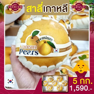 สาลี่หิมะ สาลี่เกาหลี Premium Korean Pears (1กล่อง บรรจุ 5 Kg.) หวาน อร่อย มิซึกะ ผลไม้นำเข้า เกรดพรีเมียม