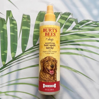 สเปรย์ลดอาการแสบร้อน สำหรับสุนัข Soothing Hot Spot Spray for Dogs with Apple Cider Vinegar &amp; Aloe Vera 296 ml (Burts Bees®) แผลแสบร้อน ฮอตสปอตในสุนัข