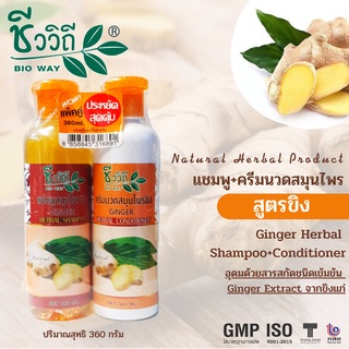 ชีววิถี แชมพู+ครีมนวดสูตรขิง แพ็คคู่ขนาด 360 มล.เหมาะสำหรับผมมัน