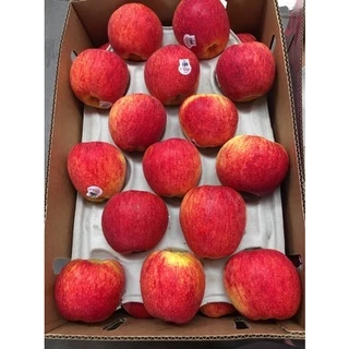 พร้อมส่ง‼️(1ลูก,3ลูก) แอปเปิ้ลเอ็นวี่ apple envy สดใหม่