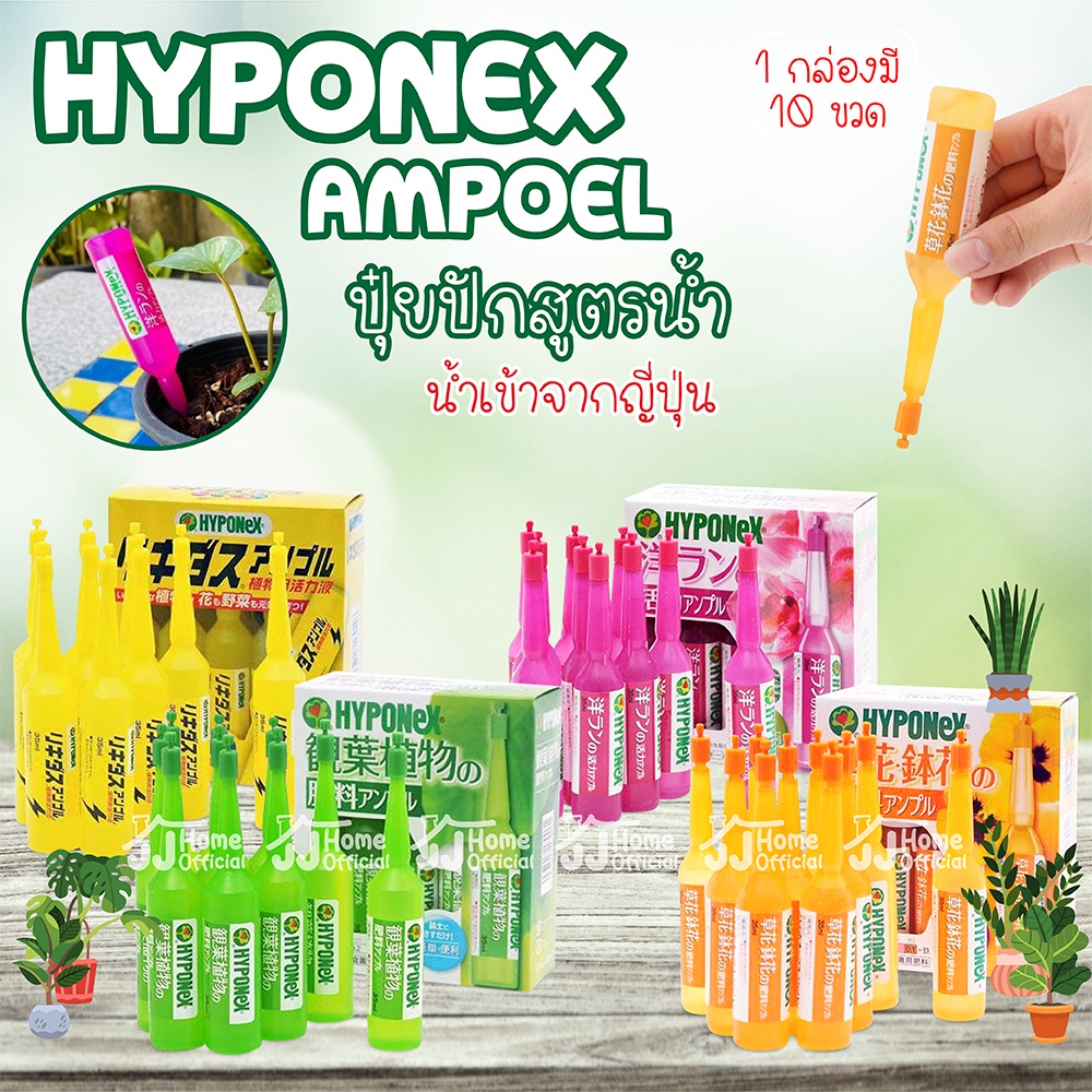 Hyponex Ampoel ( ไฮโพเนกซ์ แอมเพิล ) ปุ๋ยปัก จากประเทศญี่ปุ่น 1 กล่อง 10 หลอด ปุ๋ยน้ำ ปุ๋ยปักญี่ปุ่น ปุ๋ยปักดิน ปุ๋ย
