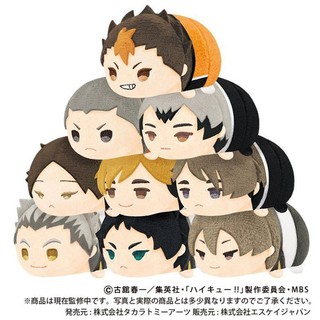 (รบกวนอ่านก่อนกดสั่งซื้อ)​ ไฮคิวคู่ตบฟ้าประทาน haikyuu