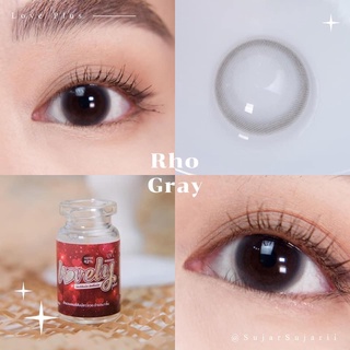 Rho gray พร้อมส่งค่าสายตา (lovelyplus)