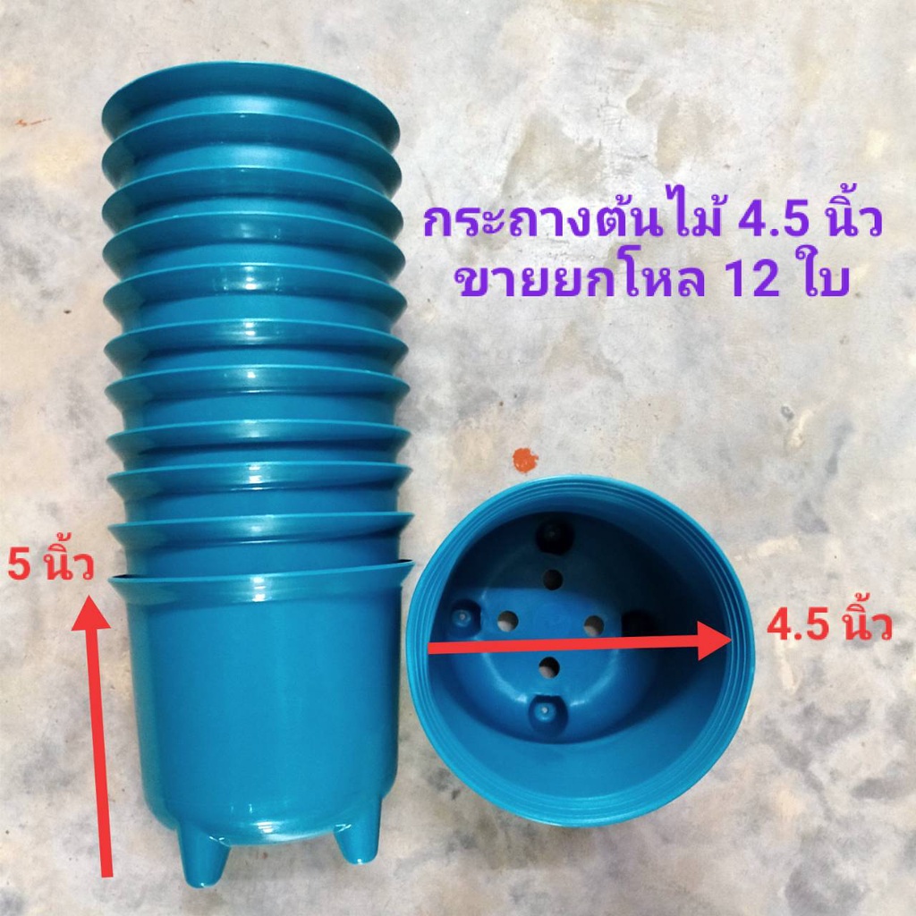 กระถางต้นไม้ 4.5 นิ้ว สี (ขายยกโหล 12 ใบ) กระถางปลูกบอน กระถางพลาสติก กระถาง 4.5" กระถางดอกไม้ บอนด่