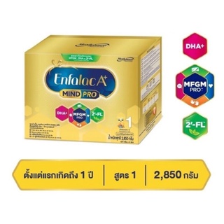 Enfalce A+1 mindpro ขนาด 2,850กรัม /6ซอง
