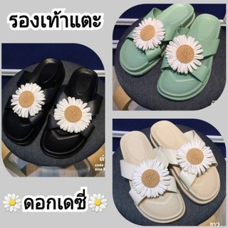 🌼รองเท้าแตะ ดอกเดซี่🌼 รองเท้าแตะ ดอกทานตะวัน🌼 สายไขว้ น่ารักสดใส ยางนิ่ม ใส่สบาย  รองเท้าแตะ รองเท้าแตะแบบสวม