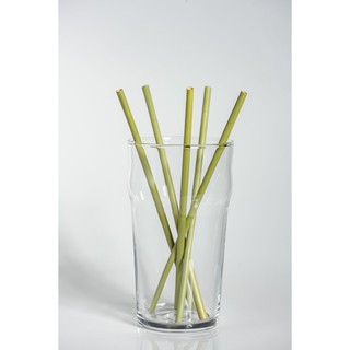 ECOTOPIA ALYADA Natural Drinking Straw หลอดหญ้า