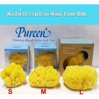 เพียวรีน ฟองน้ำธรรมชาติ 100% ไซด์ S,M,L ฟองน้ำธรรมชาติ