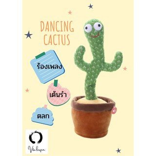 กระบองเพชรเต้นรำ Dancing Cactus TikTok cactus 🌵