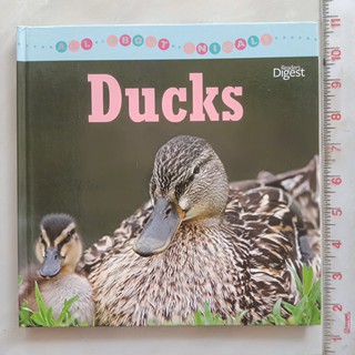 ALL ABOUT ANIMALS : Ducks  หนังสือภาษาอังกฤษ ปกแข็ง มือสอง จัดส่งของวันจันทร์   รบกวนกดสั่งซื้อวันศุกร์-เสาร์นะคะ