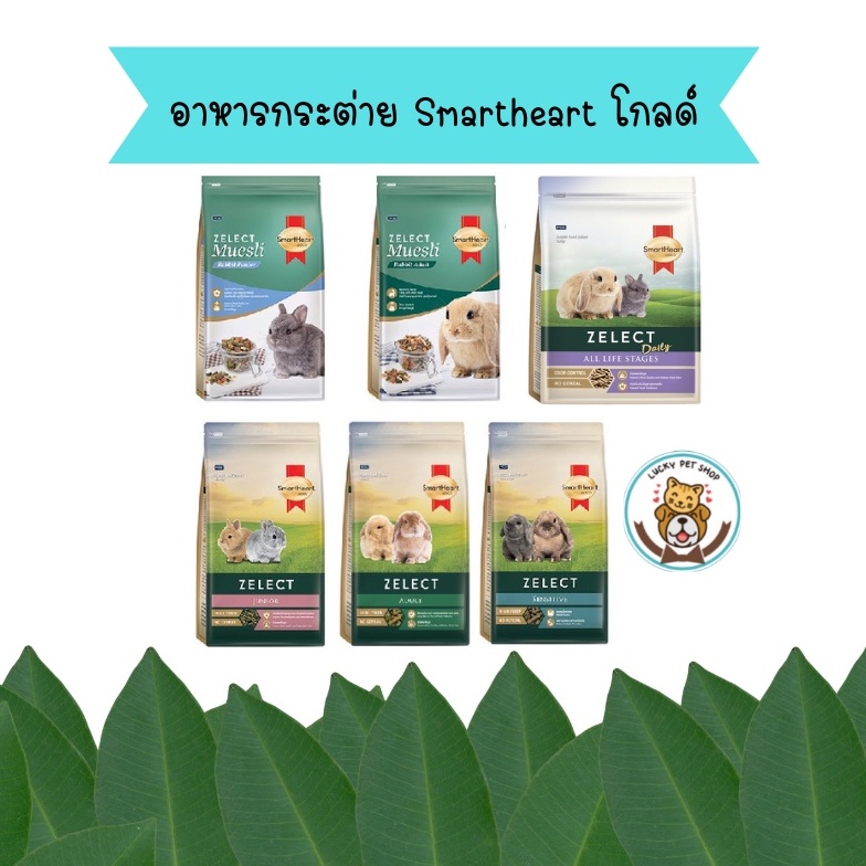 Smartheart Gold Rabbit Feed Zelect Adult High Fiber อาหารกระต่าย สมาร์ท ...