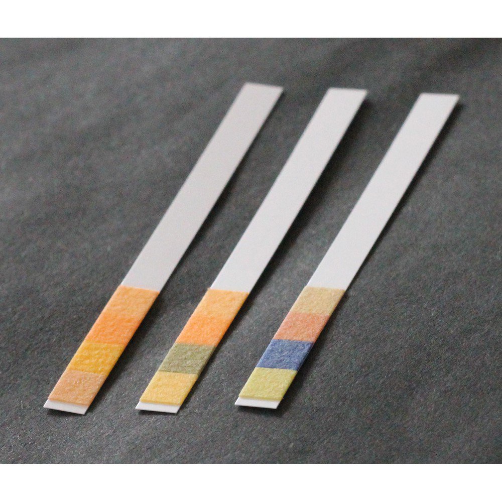 zgbH MERCK MQuant pH indicator paper strips (100 strips) Shopee Thailand