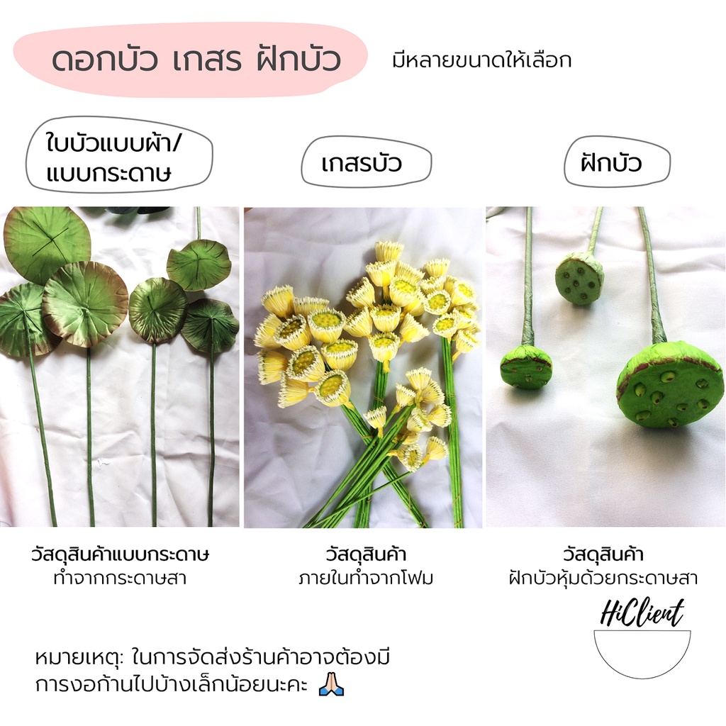 บัว ใบบัว ดอกบัว เกสร ฝักบัว ใบบัวกระดาษ ใบบัวผ้า Pollen Lotus Leaf Artificial Flowers