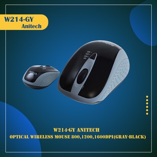 Anitech W214-GY Optical Wireless Mouse (Gray-Black)