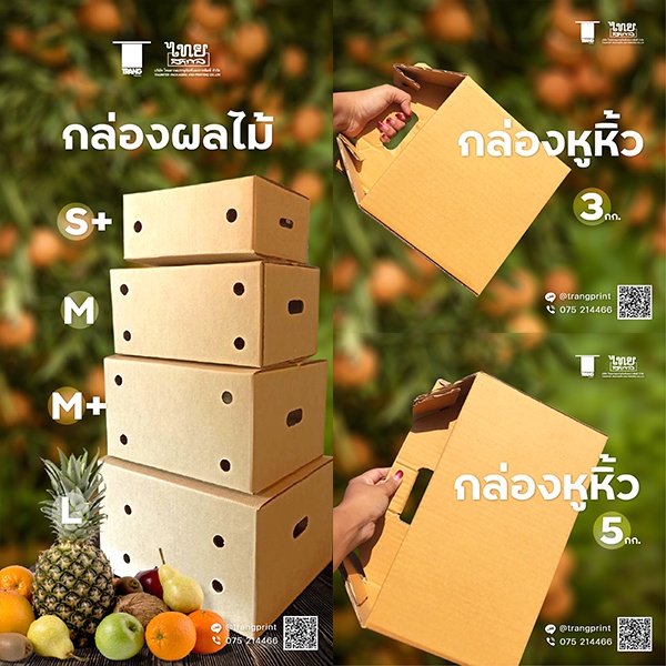 อ่านรายละเอียดก่อนซื้อ กล่องผลไม้ไม่พิมพ์ลาย กล่องใส่ผลไม้ S+/M/M+/L เท่าเคอรี่ Kerry กล่องผลไม้ หูหิ้ว 3/ 5กิโล 10กิโล