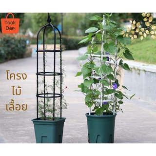 TookDee โครงไม้เลื้อยวงกลม ซุ้มกุหลาบ ล้อมกระถางสูง จัดระเบียบต้นไม้ สูง 140cm โครงไม้เลื้อย แข็งแรง