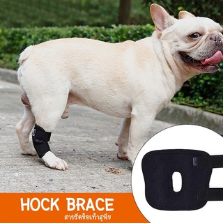 สายรัดข้อเท้าสุนัข สายรัดขาสุนัข แบบสั้น (Short Hock Brace) Doglemi [พร้อมส่ง]