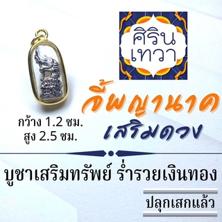 จี้พญานาค ประทานทรัพย์ ประทานพร องค์นาคราช บูชาเสริมดวงการเงิน การงานก้าวหน้า รหัส NC-109