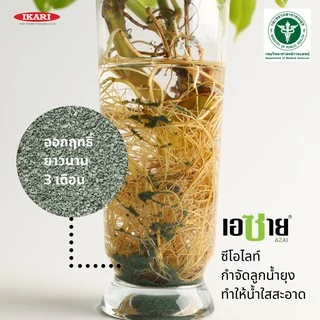 [แพ็คสุดคุ้ม] AZAI (เอซาย) ซีโอไลท์กําจัดลูกน้ำยุงลาย 100 กรัม(แพ็ค 8 ซอง) กำจัดลูกน้ำยุง น้ำใสสะอาด ไม่เกิดกลิ่นเหม็น