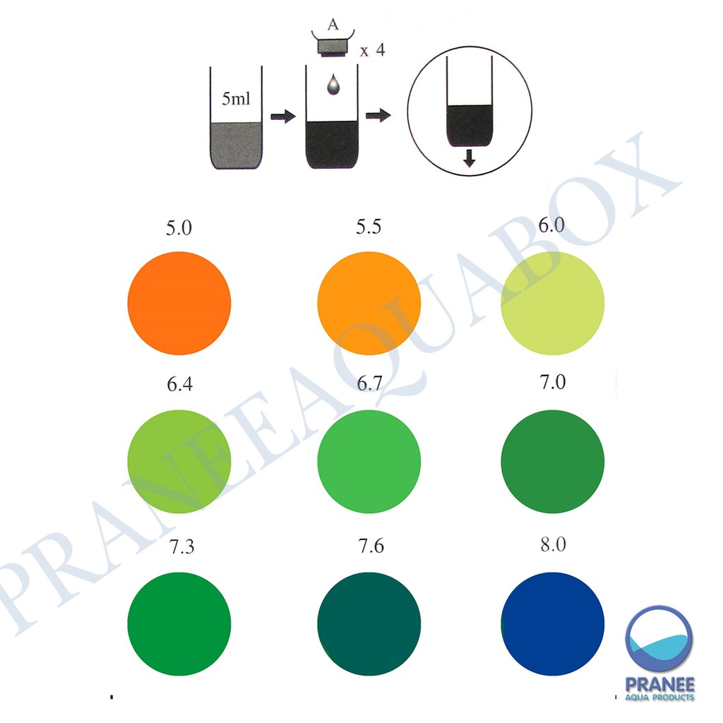 AQUA-VBC PH Test Kit ชุดทดสอบค่าน้ำ pH สำหรับน้ำทะเลและน้ำจืด น้ำยาทดสอบค่าน้ำ น้ำยาวัดค่าน้ำ (ทดสอบได้ 150 ครั้ง)