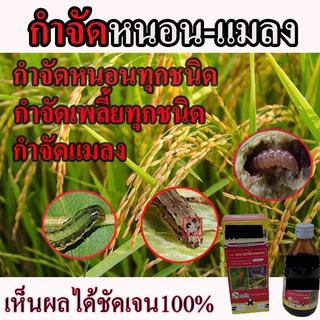 ***สูตรเข้มข้น***สารป้องกันกำจัดแมลงกินใบ กำจัดแมลงพืช เพลี้ยไฟออกฤทธิ์ทันทีเหมาะกับพืชทุกชนิด ใช้งานง่ายกำจัดแมลงปากดูด