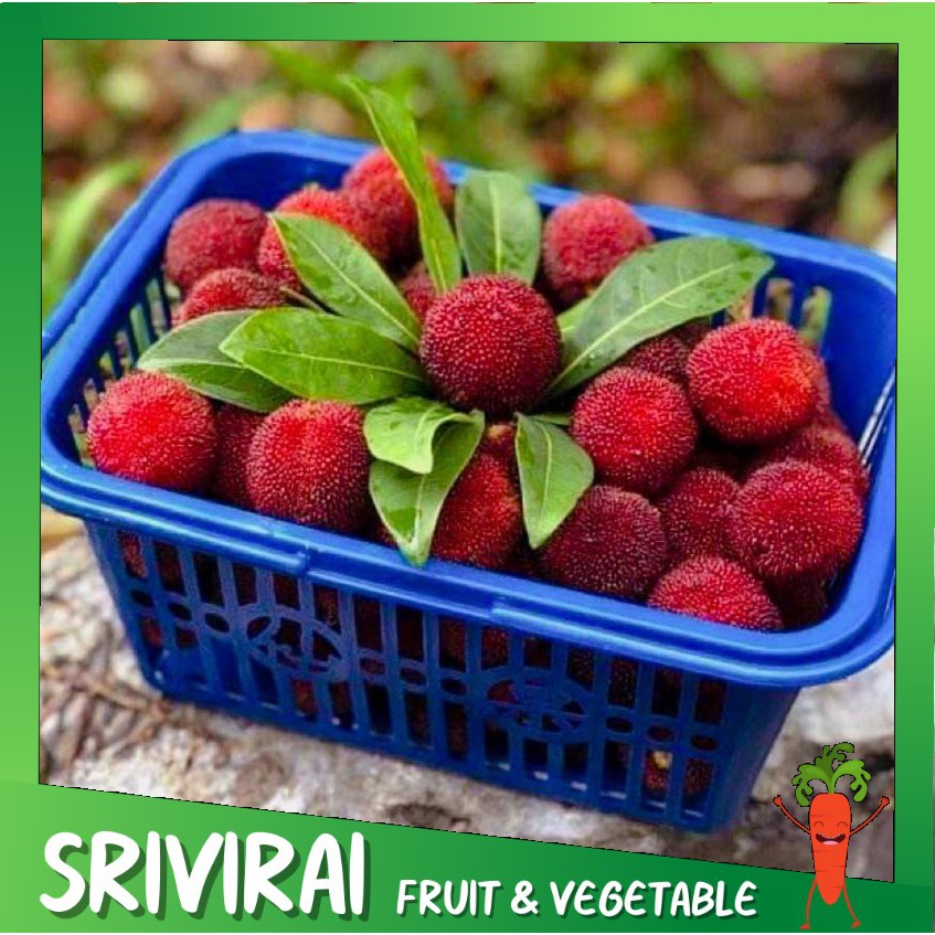 🍒หยางเหมยสด เอี่ยบ๊วย เรดเบอรี่ HFT หยางเมย (yangmei) Yumberry เบย์เบอร์รี่ bayberry 🍒