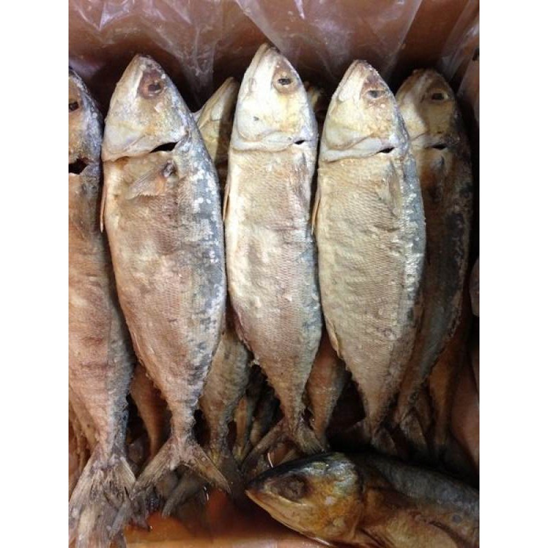 ปลาทูหอม จัมโบ้(1 กิโลกรัม) ปลาทูหอมเค็ม ปลาทูหอมแม่กลอง ปลาทูหอมมัน ปลาทูหอมขายส่ง ปลาทูเค็ม ตัวใหญ่ ไม่เค็มมาก