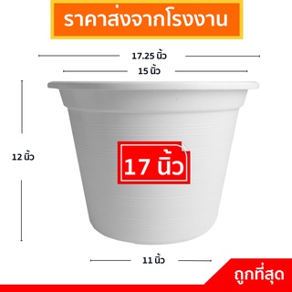 กระถางต้นไม้
 กระทางต้นไม้
 กระถาง
 กระถางขาว สีขาว 17 นิ้ว