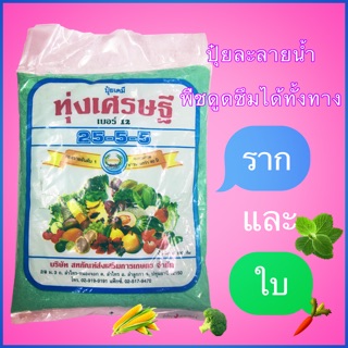 ปุ๋ยละลายน้ำ ทุ่งเศรษฐี 25-5-5บำรุงใบและต้นบรรจุ500กรัม