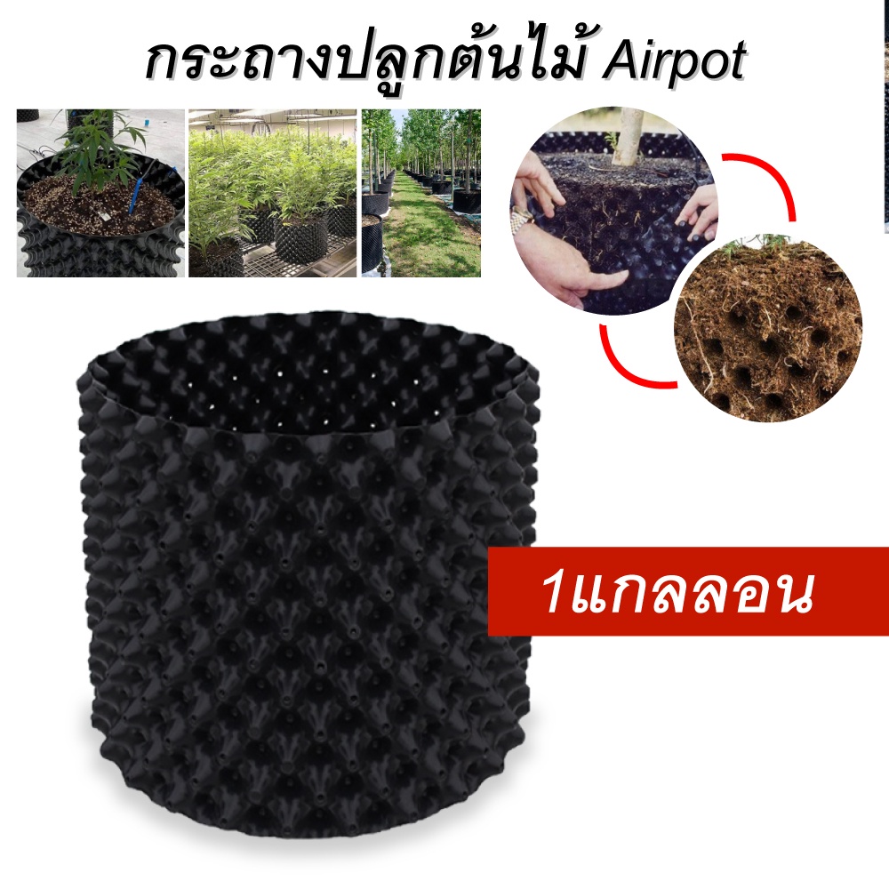 Megahouse กระถาง Air Pot ปลูกต้นไม้ กระถางมีรู มี 7 ขนาดให้เลือก 1,3,5,7,10,12,20 แกลลอน