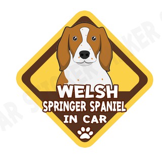 สติกเกอร์ติดรถ สติ๊กเกอร์ติดรถยนต์ สติกเกอร์หมา DGA201  Welsh Springer Spaniel