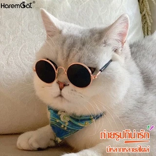 Harmcat แว่นตาน่ารัก แว่นกลม มีหลายแบบให้เลือก แว่นตากันแดด เหมาะสำหรับแมวและสุนัขตัวเล็ก แว่นแมว แว่นหมา แว่นสุนัข
