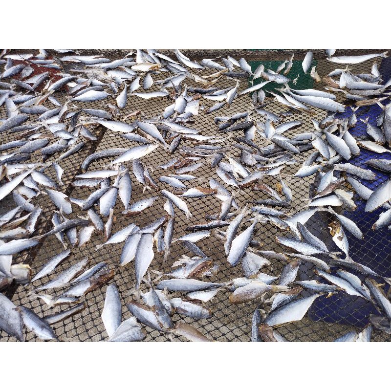 ปลาทะเลตากแห้งปลอดสารพิษ100%