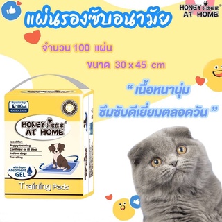 แผ่นรองซับสำหรับสุนัขและแมว by Honey At Home ไซส์ S