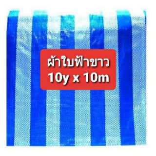 ผ้าใบฟ้าขาวเกรด A ขนาด 10y x 10m