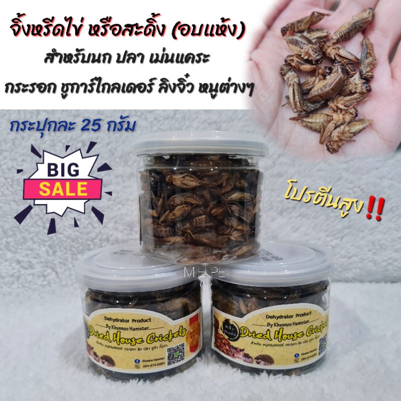 จิ้งหรีดไข่ สะดิ้งอบแห้ง กระปุกเล็ก25กรัม สำหรับนก หนู กระรอก ชูการ์ ปลา เม่นแคระ (KHUNNOOกระปุกเล็ก)