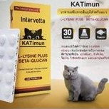 (แบ่งขาย ต่อ เม็ด) KATImun แคทติมูน L-Lysine Plus, Beta-glucan วิตามินอาหารเสริมกระตุ้นภูมิ  ทานง่าย L_Lysine_เข้มข้น