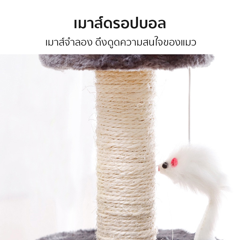 ฝนเล็บแมว คอนโดแมวราคาถูก คอนโดแมว ที่ลับเล็บแมว ที่ฝนเล็บแมว ลับเล็บแมว คอนโดแมวเล็ก ของเล่นแมว ราคา ถูกที่สุด ดีลบีเคเค แกลเลอรีภาพที่ 6