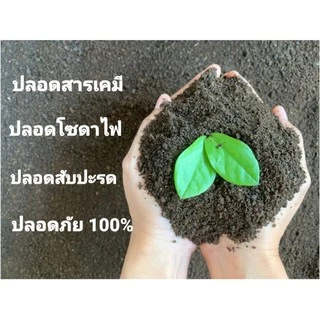 ปลูกผสมมูลไส้เดือน 1 กิโลกรัม สูตรพิเศษจาก "อลังการฟาร์ม" ปลูกอะไรก็โต ดินดีมีชีวิต