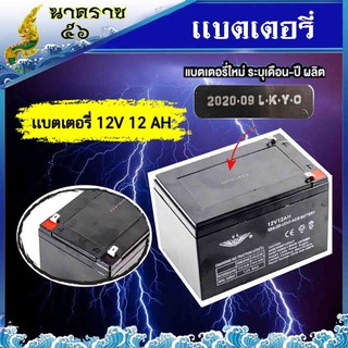 แบตเตอรี่พ่นยาปั้มคู่  12 V.( โวลล์ ) 12AH.  ( เเอมป์ ) แบตเตอรี่เครื่องสำรองไฟ UPS ไฟฉุกเฉิน เครื่องมือเกษตร