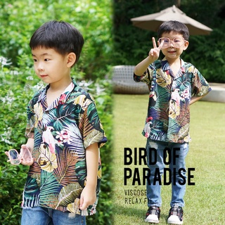 Shirtoria Kids+Dad -Bird of paradise เสื้อเชิ้ตผู้ชาย เสื้อเชิ้ตผู้ชายแขนสั้น เสื้อเชิ้ตฮาวาย NonIron ไม่ต้องรีด